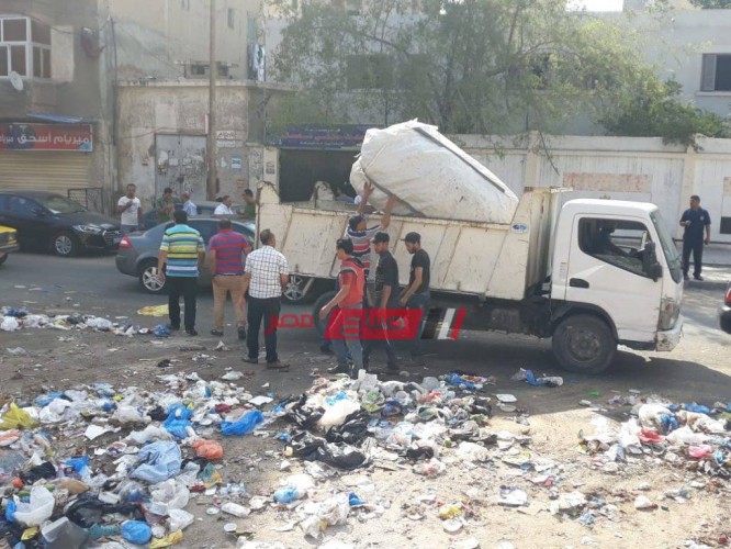 حملات مكبرة لضبط أوكار النباشين ورفع كفاءة منظومة النظافة بالإسكندرية