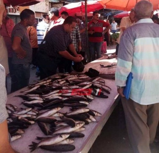 أسعار الأسماك اليوم الخميس 27-2-2020 في محافظة الإسكندرية