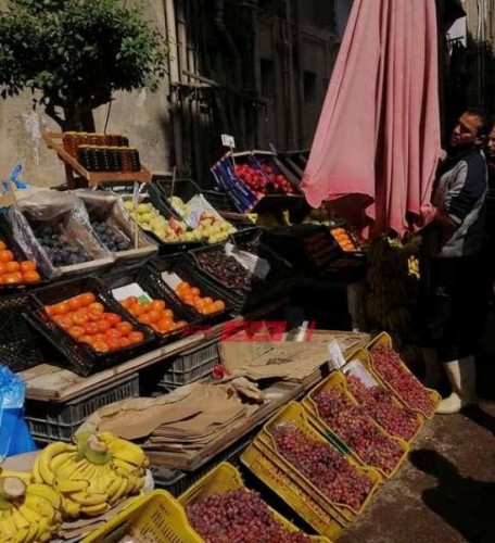 إنخفاض أسعار الفاكهة داخل أسواق الإسكندرية