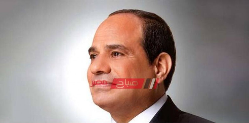 الرئيس عبد الفتاح السيسي يؤكد رفض مصر اعتداء تركيا على الأراضي السورية