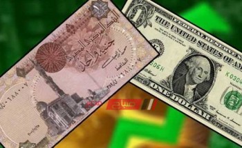 سعر الدولار الأمريكي أمام الجنيه المصري اليوم الخميس 31 أكتوبر ومعدل هبوط الدولار أمام الجنيه 