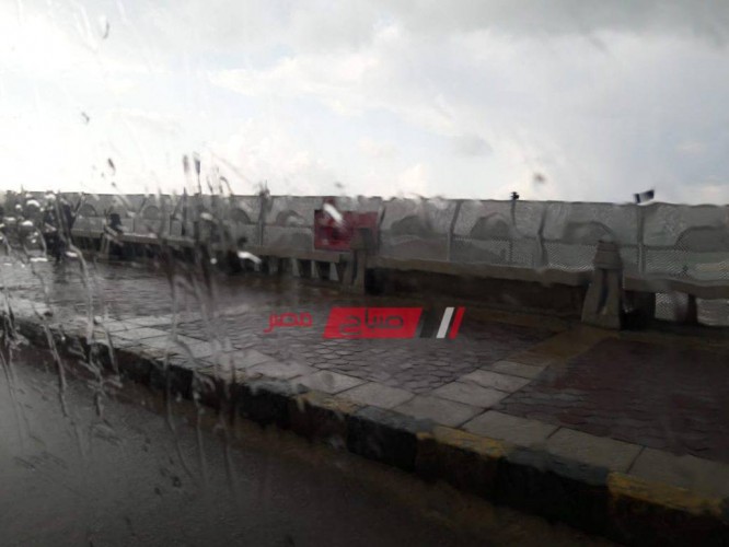 تساقط أمطار خفيفة منذ الصباح على الإسكندرية