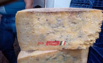 ضبط 50 كيلو من الجبن الغير صالح للاستهلاك قبل بيعها في الإسكندرية