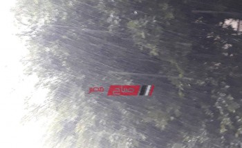 بالفيديو هطول أمطار غزيرة رعدية بالإسكندرية مع توقعات باستمرارها غدا