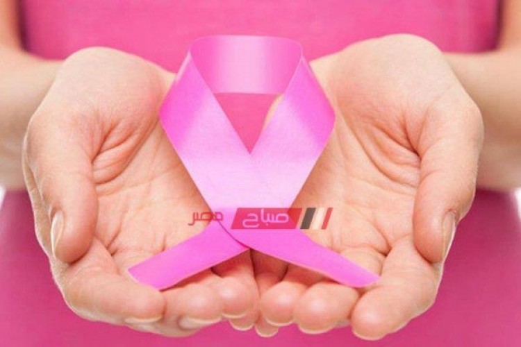 الكشف عن سرطان الثدي.. تعرف على مقرات المبادرة الرئاسية لدعم صحة المرأة بالإسكندرية
