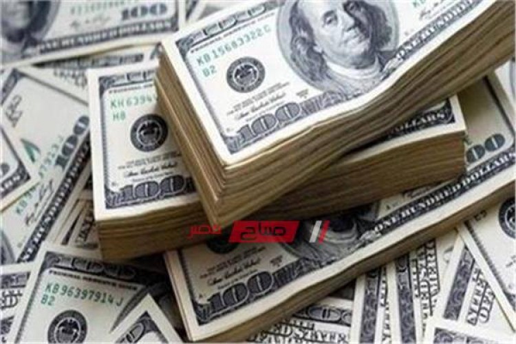 أسعار الدولار في مصر اليوم الأربعاء 13-11-2019