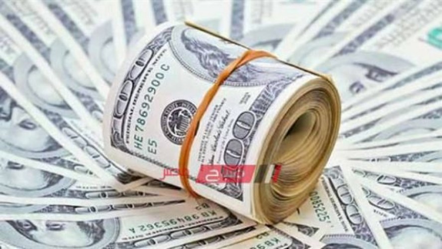 أسعار العملات – سعر الدولار في مصر اليوم الثلاثاء 11-2-2020