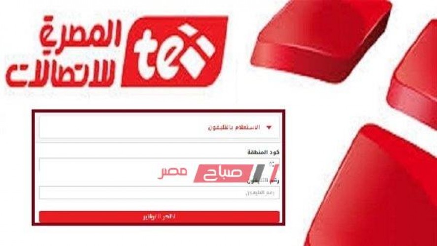 الاستعلام عن فاتورة التليفون الأرضي من المصرية للاتصالات لشهر أكتوبر