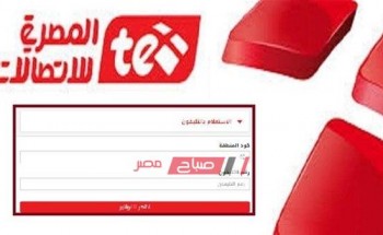 الاستعلام عن فاتورة التليفون الأرضي من المصرية للاتصالات لشهر أكتوبر