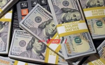 سعر صرف الدولار الأمريكي أمام الجنيه المصري اليوم الأحد 10-11-2019