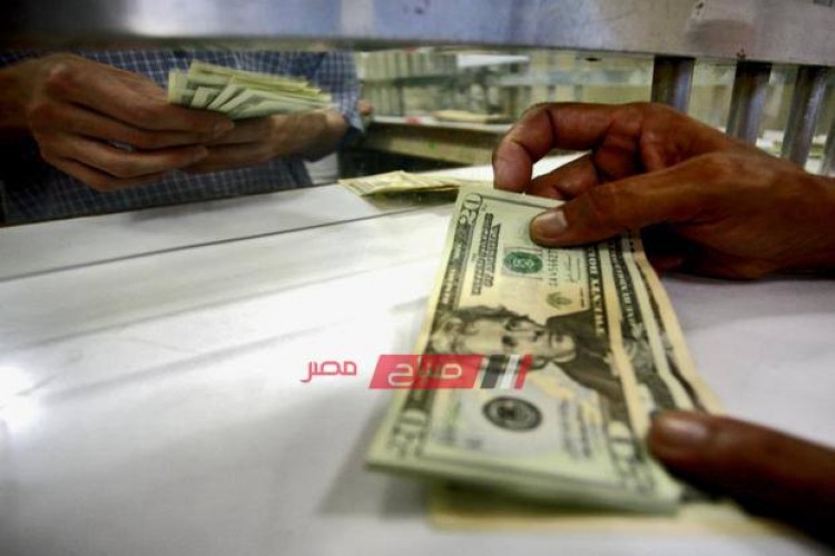 ننشر تفاصيل أسعار الدولار اليوم السبت 22-7-2023 في التعاملات البنكية مقابل الجنيه السوداني