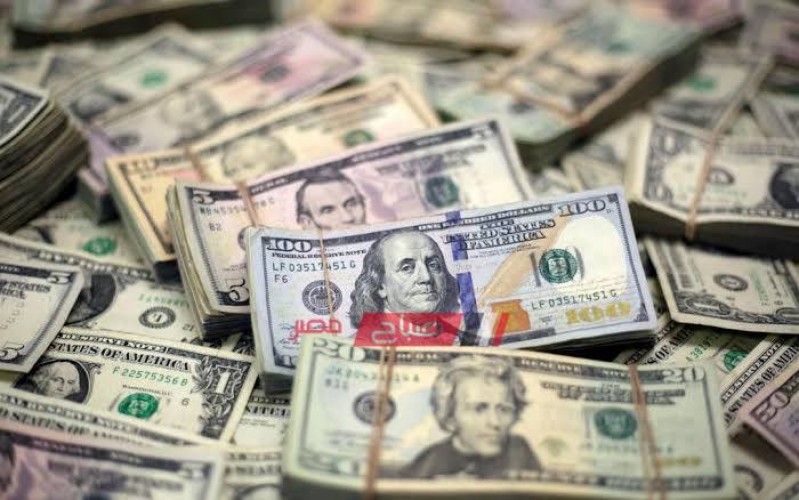أسعار الدولار اليوم الأحد 10-7-2022 للبيع والشراء في دولة السودان