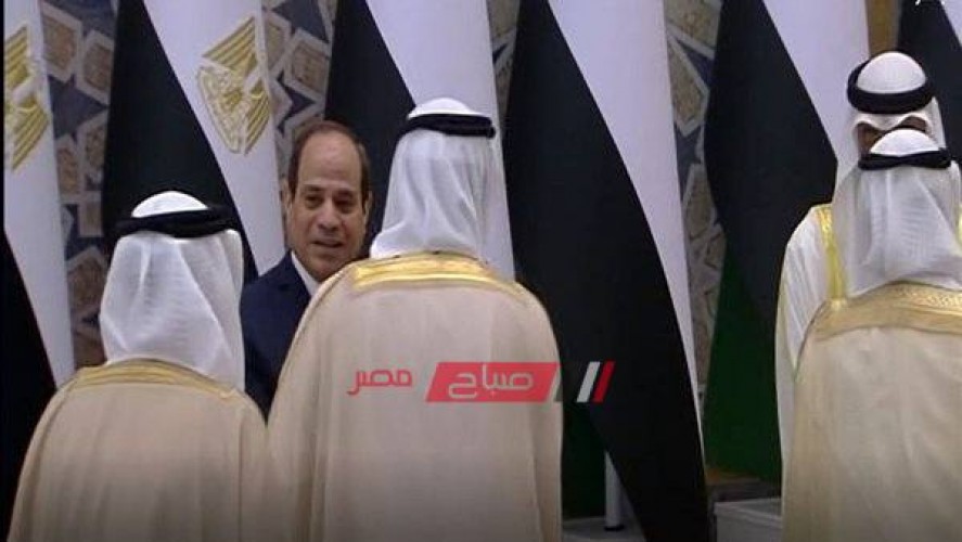 استقبال كبار المسئولين بأبو ظبي للرئيس السيسي.. فيديو