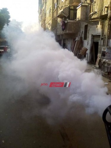 محافظ الإسكندرية يكلف رؤساء الأحياء باستمرار رش المبيدات في الشوارع للقضاء على الناموس