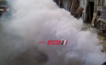 استجابه للمواطنين.. انطلاق حملات لمكافحة البعوض في شوارع مدينة دمياط