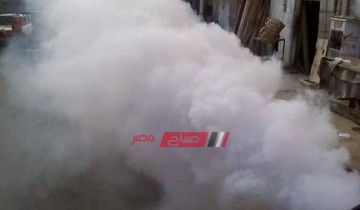 استجابه للمواطنين.. انطلاق حملات لمكافحة البعوض في شوارع مدينة دمياط