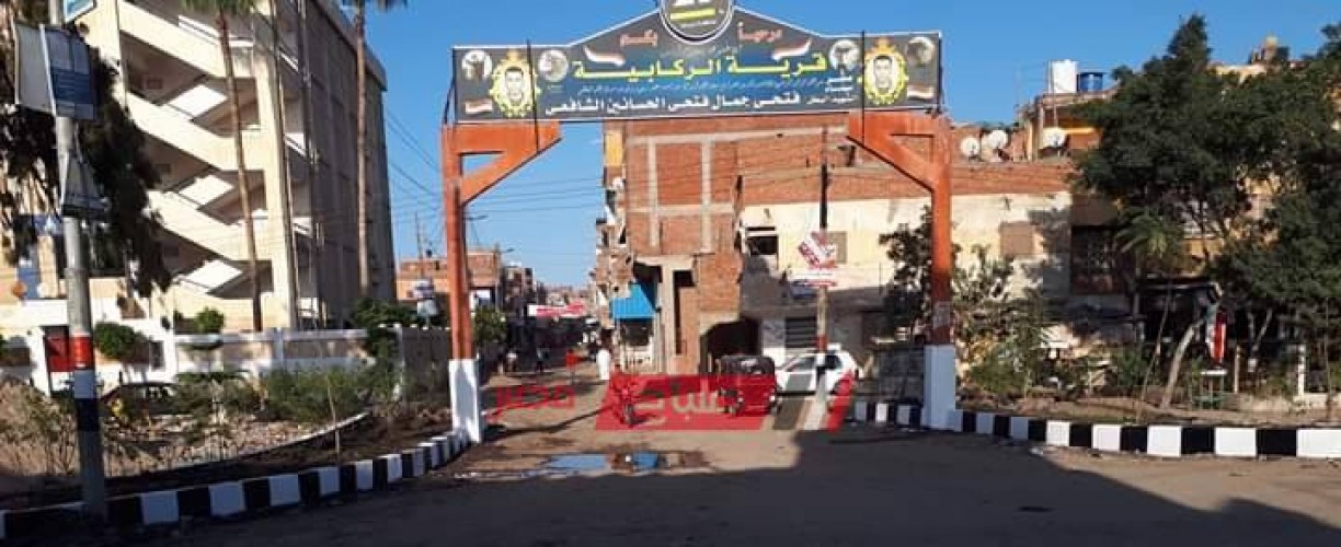 تجميل مدخل قرية الركابية بدمياط بمشاركة شباب القرية