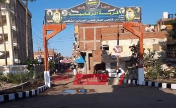 تجميل مدخل قرية الركابية بدمياط بمشاركة شباب القرية