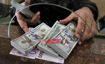سعر الدولار الأمريكي أمام الجنيه المصري اليوم الثلاثاء 28-1-2020