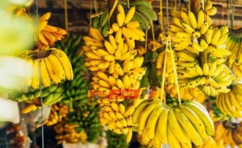 استقرار أسعار الموز في سوق الجملة اليوم
