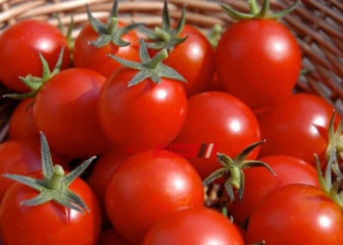 سعر الطماطم يتراجع 5 قروش في سوق الجملة اليوم