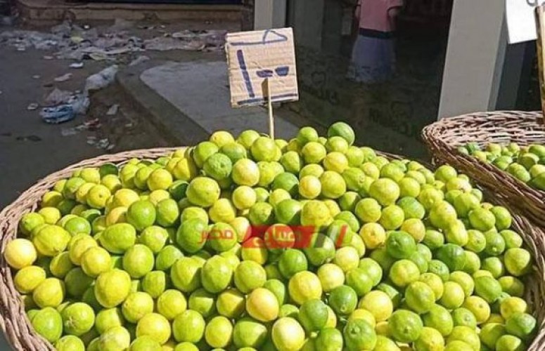 كيلو الليمون البلدي يسجل 20 جنيهًا في بني سويف
