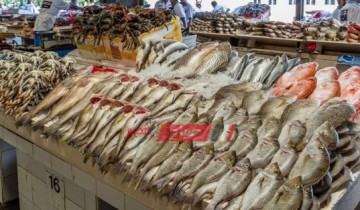 تعرف على أسعار 20 نوعًا من الأسماك في أسواق المحافظات