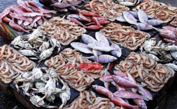 استقرار أسعار الأسماك في سوق الجملة اليوم الأربعاء