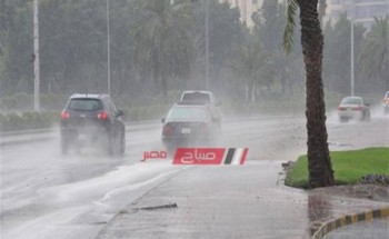 طقس مصر الآن لحظة بلحظة وتوقعات الأحوال الجوية اليوم الخميس