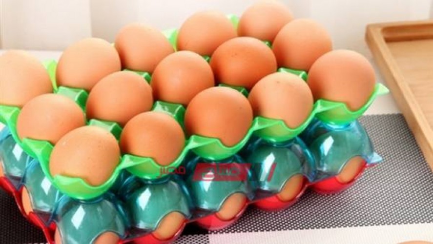120 قرشًا سعر البيضة في الدقهلية اليوم