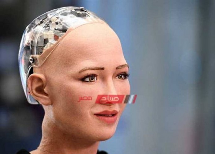 كل ما تريد معرفته عن الروبوت صوفيا بعد مشاركتها في منتدى شباب العالم