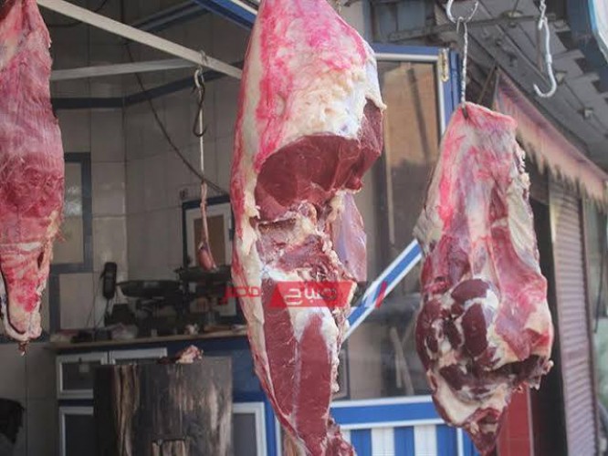 أسعار اللحوم البلدي والمستوردة اليوم الخميس 9-1-2020 في الإسكندرية