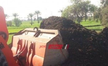 إزالة حالة تعدي على الأرض الزراعية في دمياط بمساحة 126 متر