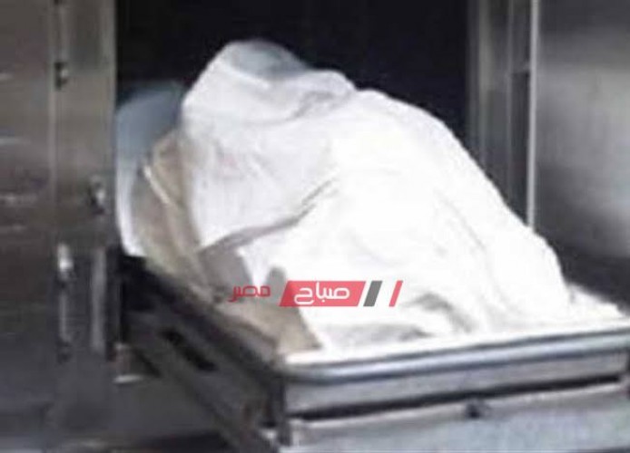 المحكمة تجدد حبس عاطلين تسببا فى قتل سيدة بعد خطف حقيبتها في الإسكندرية