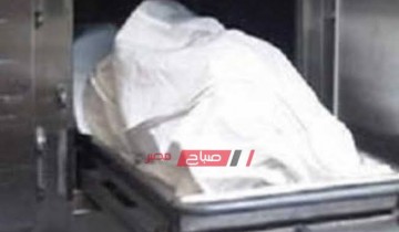 القبض على متهمين خطفوا حقيبة يد سيدة مما تسبب فى سقوطها ووفاتها في الإسكندرية