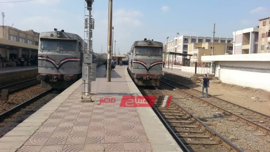 توقف حركة القطارات في دمياط بسبب تعطل سيارة نقل على القضبان
