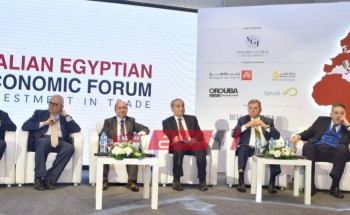 أحمد الوكيل: مصر تمتلك فرص واعدة للمستثمرين الجادين