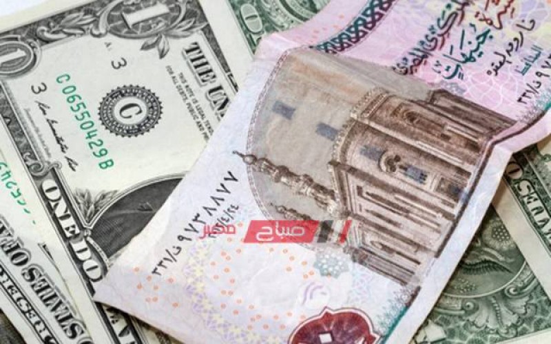 سعر الدولار اليوم السبت فى مصر – جدول أسعار البيع والشراء للدولار فى مختلف البنوك