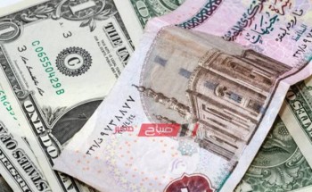 سعر الدولار الأمريكي واليوان الصيني أمام الجنيه المصري اليوم الجمعة 31-1-2020