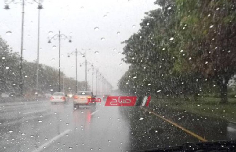 تساقط أمطار غزيرة على طريق مصر – الإسكندرية الزراعي