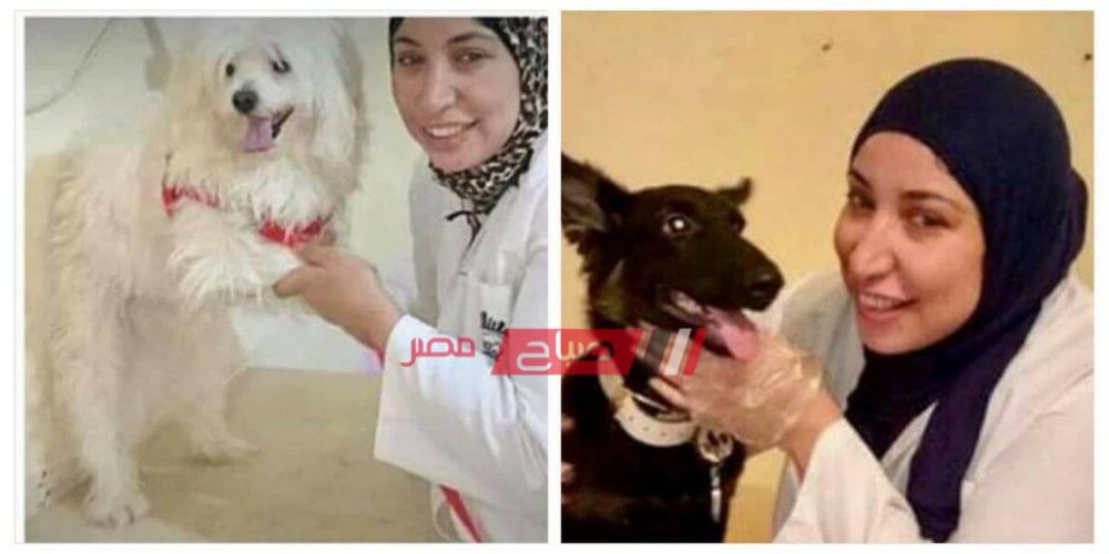 مصر خالية من السُعار حملة سمر عبدالرحمن لتطعيم الكلاب والقطط الضالة