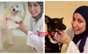 مصر خالية من السُعار حملة سمر عبدالرحمن لتطعيم الكلاب والقطط الضالة