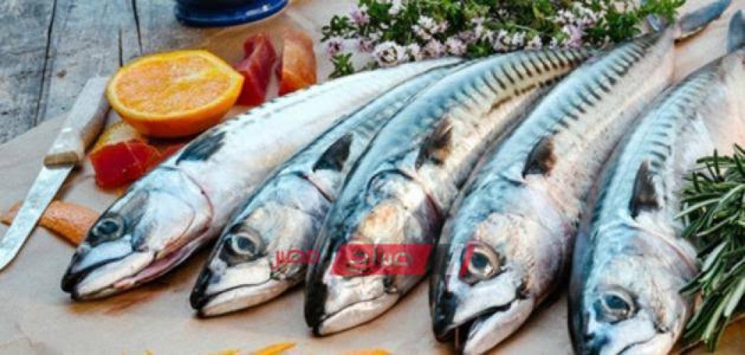 25 جنيه كيلو الماكريل-أسعار الأسماك في الشوادر والأسواق