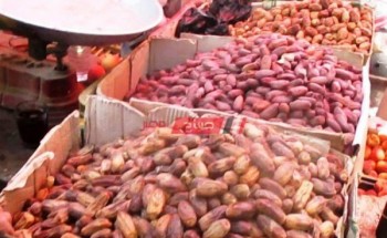 ننشر أسعار البلح في سوق العبور لجملة الفاكهة اليوم