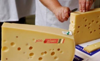 كيلو الجبن الرومي يسجل 100 جنيه في الدقهلية