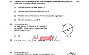 نموذج امتحان الرياضيات باللغة الإنجليزية للصف الأول الثانوي نصف العام 2019 – 2020 (استرشادي)