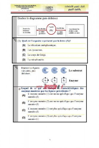 نموذج امتحان الأحياء باللغة الفرنسية للصف الأول الثانوي نصف العام 2019 – 2020 (الاسترشادي)