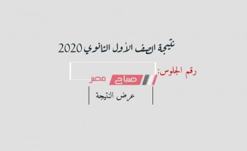 الرابط الرسمي للحصول على نتيجة الصف الأول الثانوي 2020 وزارة التربية والتعليم