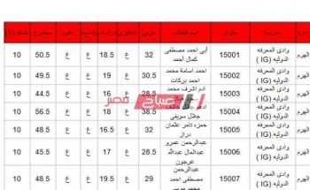 بالاسم ورقم الجلوس نتيجة الصف الثالث الاعدادي محافظة الجيزة إدارة الهرم التعليمية 2020
