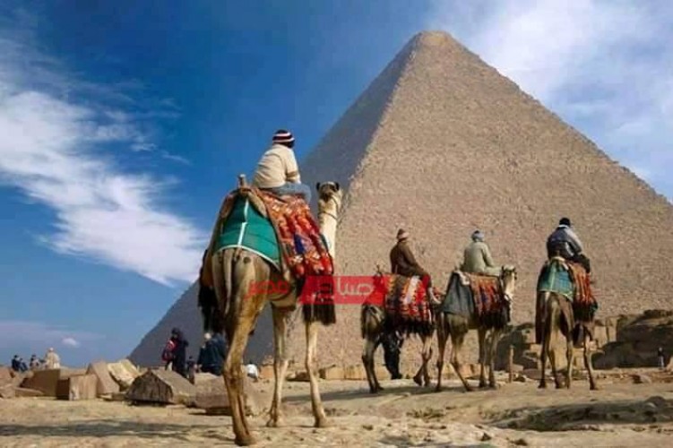 صورة مصر في مخيلة سعد القرش